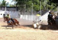 /album/galeria-de-fotos-vendas/doc-correndo-2-jpg2/